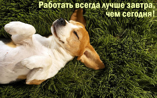 Работать лучше завтра, чем сегодня!