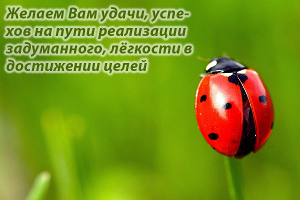 Желаем Вам удачи, успехов на пути!