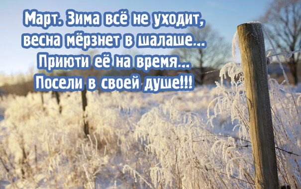 В россии март не всегда. Цитаты про зиму и весну. Зима не хочет уходить цитаты. Статусы про зиму. Цитаты про уходящую зиму.