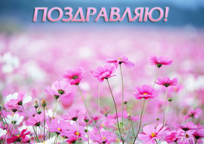 Поздравляю!