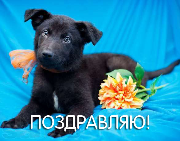 Поздравляю!