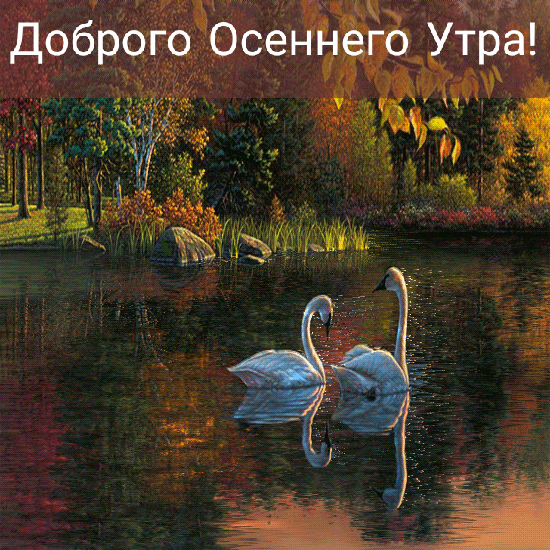 самого доброго утра и хорошего настроения на весь день природа мерцающие. Смотреть фото самого доброго утра и хорошего настроения на весь день природа мерцающие. Смотреть картинку самого доброго утра и хорошего настроения на весь день природа мерцающие. Картинка про самого доброго утра и хорошего настроения на весь день природа мерцающие. Фото самого доброго утра и хорошего настроения на весь день природа мерцающие