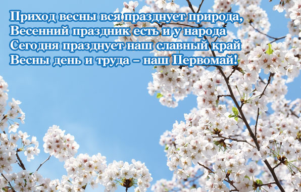 � ���� ����� � �����.