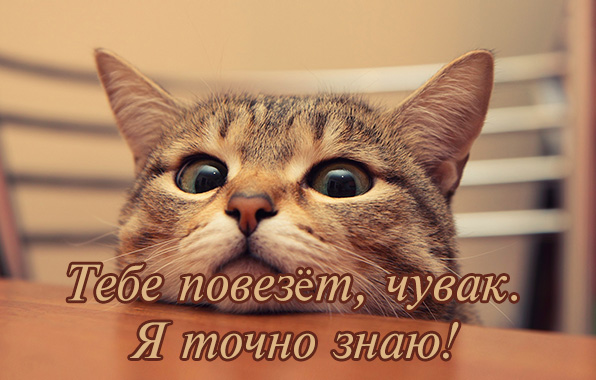 Тебе повезёт, чувак