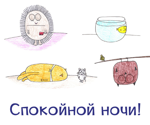 Спокойной ночи!