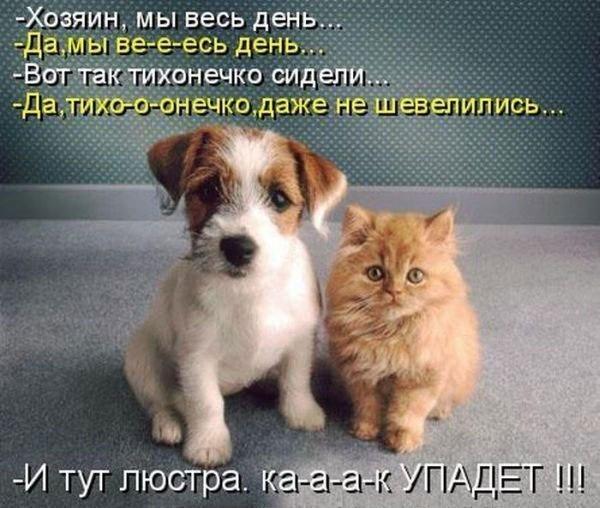 прикольные заставки на телефон с надписями не трогать. Смотреть фото прикольные заставки на телефон с надписями не трогать. Смотреть картинку прикольные заставки на телефон с надписями не трогать. Картинка про прикольные заставки на телефон с надписями не трогать. Фото прикольные заставки на телефон с надписями не трогать