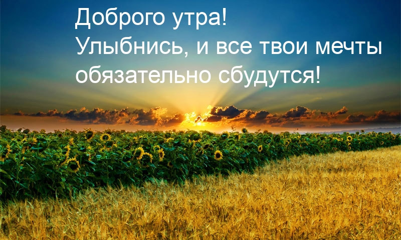открытка с завтраком и пожеланиями. images 3644. открытка с завтраком и пожеланиями фото. открытка с завтраком и пожеланиями-images 3644. картинка открытка с завтраком и пожеланиями. картинка images 3644. Чего мы ждём все утром, с нетерпением? Конечно же, красивых картинок, с добрыми пожеланиями. Ведь нам так важна забота и внимание. Утро – оно такое, очень важно проснуться и понять, что о тебе помнят, о тебе заботятся и всегда рады пожелать доброго утра.