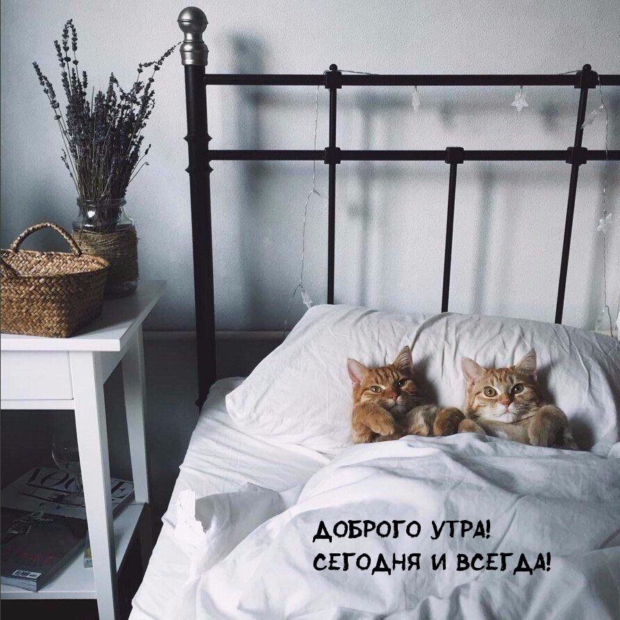 с добрым утром прошу со мной на завтрак скоро новый год. Смотреть фото с добрым утром прошу со мной на завтрак скоро новый год. Смотреть картинку с добрым утром прошу со мной на завтрак скоро новый год. Картинка про с добрым утром прошу со мной на завтрак скоро новый год. Фото с добрым утром прошу со мной на завтрак скоро новый год с добрым утром прошу со мной на завтрак скоро новый год. Смотреть фото с добрым утром прошу со мной на завтрак скоро новый год. Смотреть картинку с добрым утром прошу со мной на завтрак скоро новый год. Картинка про с добрым утром прошу со мной на завтрак скоро новый год. Фото с добрым утром прошу со мной на завтрак скоро новый год