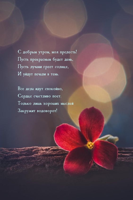 с днем рождения с утром добрым утром и хорошим. Смотреть фото с днем рождения с утром добрым утром и хорошим. Смотреть картинку с днем рождения с утром добрым утром и хорошим. Картинка про с днем рождения с утром добрым утром и хорошим. Фото с днем рождения с утром добрым утром и хорошим