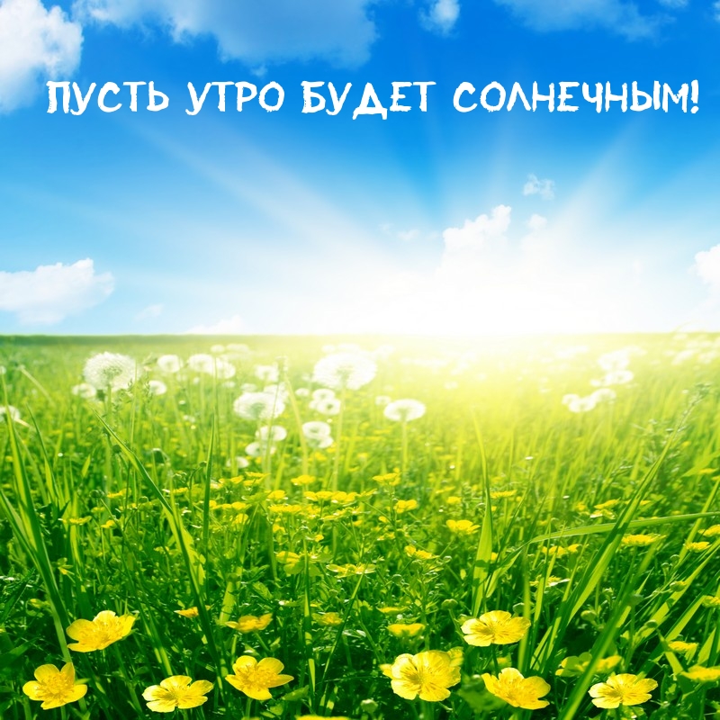 images 4507 доброе утро строгое телефон хорошего