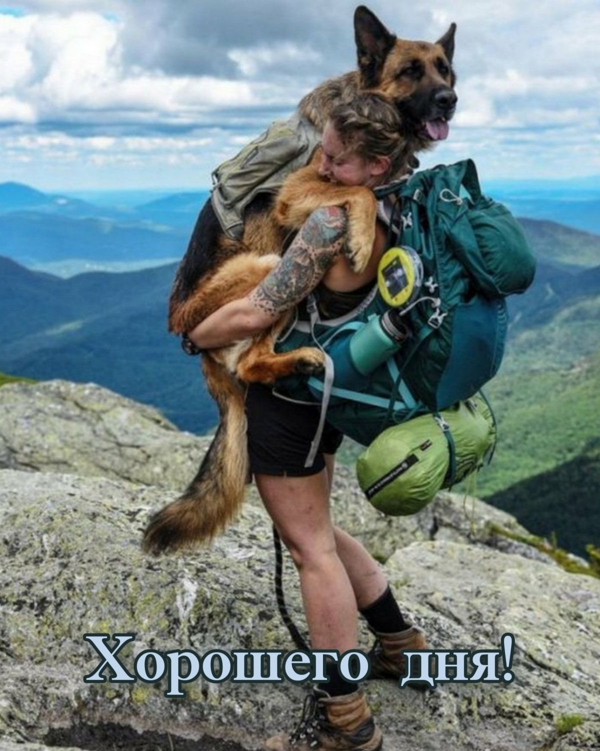 Хорошего дня!