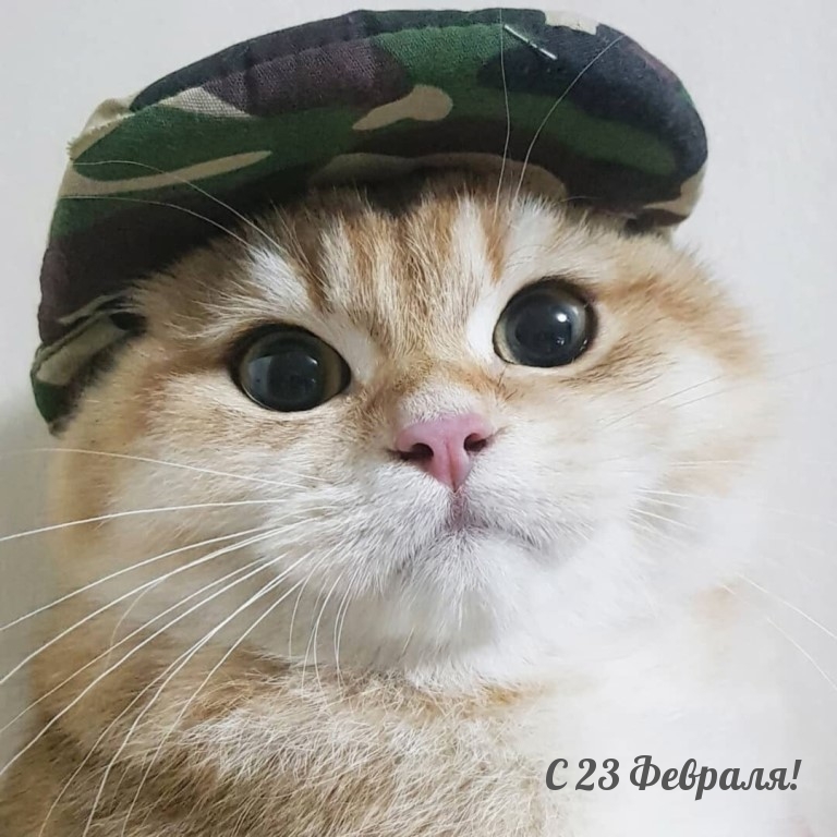 � 23 �������!.