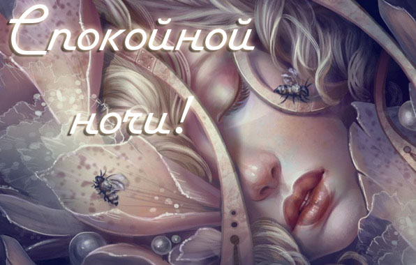 Спокойной ночи!