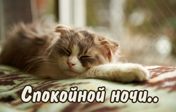 Любимый добрых снов картинки красивые новые. images 734. Любимый добрых снов картинки красивые новые фото. Любимый добрых снов картинки красивые новые-images 734. картинка Любимый добрых снов картинки красивые новые. картинка images 734. Когда на землю опускается ночь, особенно остро ощущается отсутствие любимого рядом. В такие моменты хочется напомнить своему мужчине о том, как ты скучаешь по нему и ждешь скорейшей встречи. Пожелать ему спокойной ночи можно не только с помощью нежных слов, которые совсем несложно произнести по телефону.