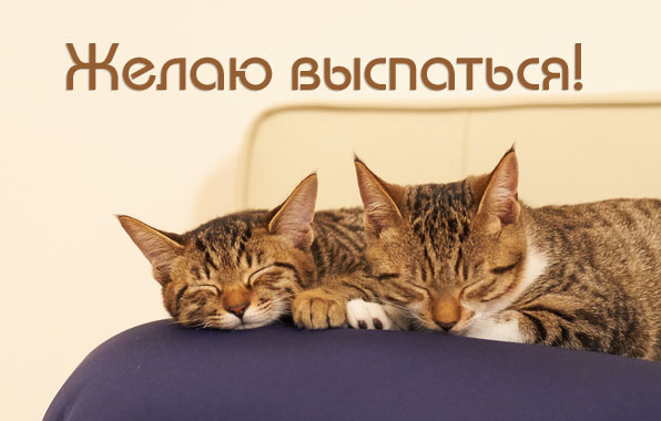 Желаю выспаться!