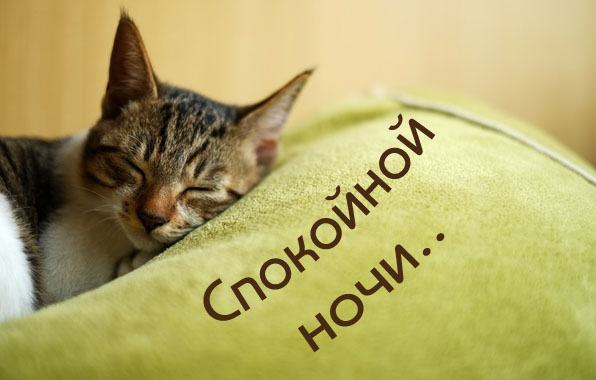 меня не беспокоить я спать картинки. Смотреть фото меня не беспокоить я спать картинки. Смотреть картинку меня не беспокоить я спать картинки. Картинка про меня не беспокоить я спать картинки. Фото меня не беспокоить я спать картинки