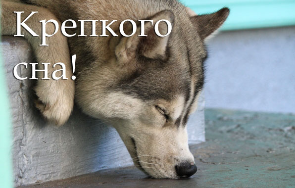 Открытки с пожеланиями спокойной ночи и добрых приятных снов. images 750. Открытки с пожеланиями спокойной ночи и добрых приятных снов фото. Открытки с пожеланиями спокойной ночи и добрых приятных снов-images 750. картинка Открытки с пожеланиями спокойной ночи и добрых приятных снов. картинка images 750. Выражайте свои эмоции, отправляйте тематические картинки с пожеланием спокойной ночи дорогим людям, возлюбленным и друзьям. Пусть они ощущают вашу заботу, внимание, любовь и теплоту каждую минуту!