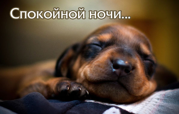 Классные картинки спокойной ночи приятных снов с цветами и природой. Смотреть фото Классные картинки спокойной ночи приятных снов с цветами и природой. Смотреть картинку Классные картинки спокойной ночи приятных снов с цветами и природой. Картинка про Классные картинки спокойной ночи приятных снов с цветами и природой. Фото Классные картинки спокойной ночи приятных снов с цветами и природой