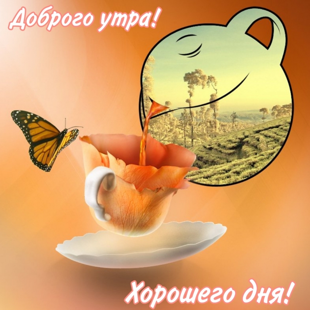 Доброго утра! Хорошего дня!