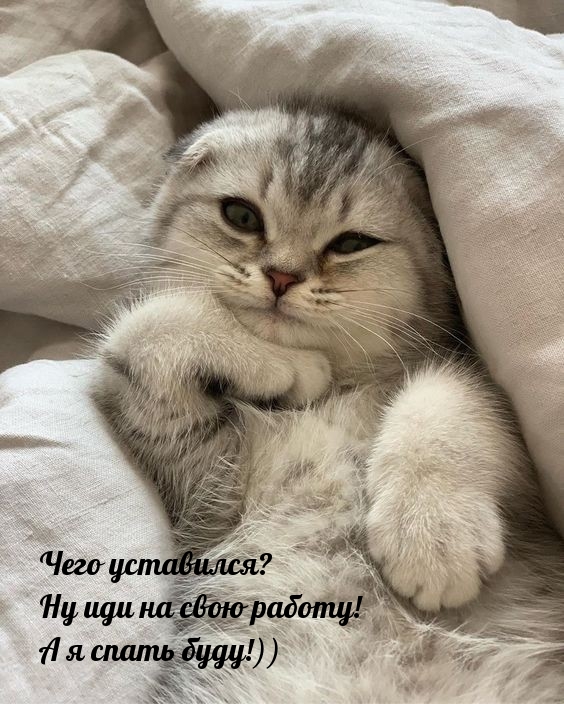 photowords ru 10894 открытки подбадривающие для хорошего настроения