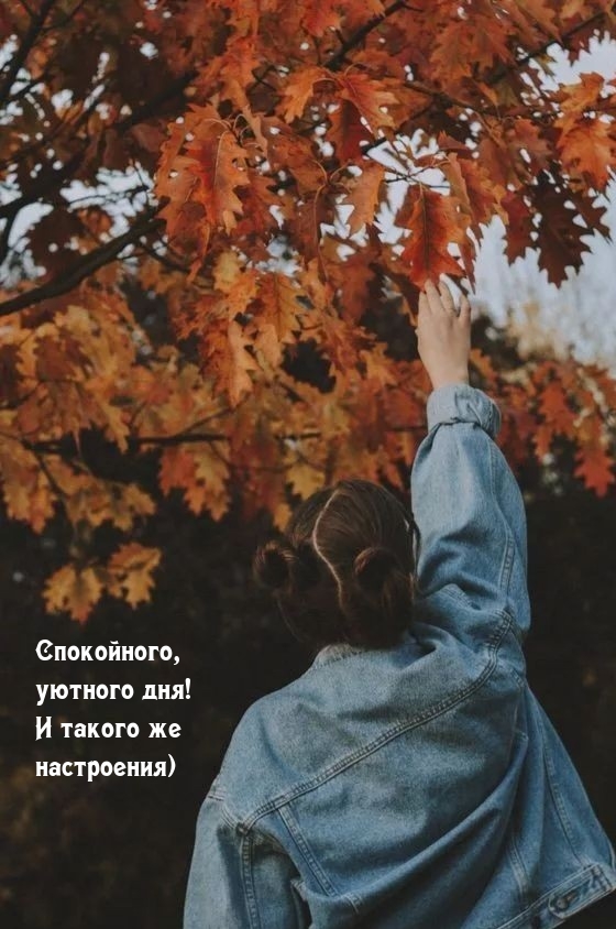 Спокойного, уютного дня! И такого же настроения)