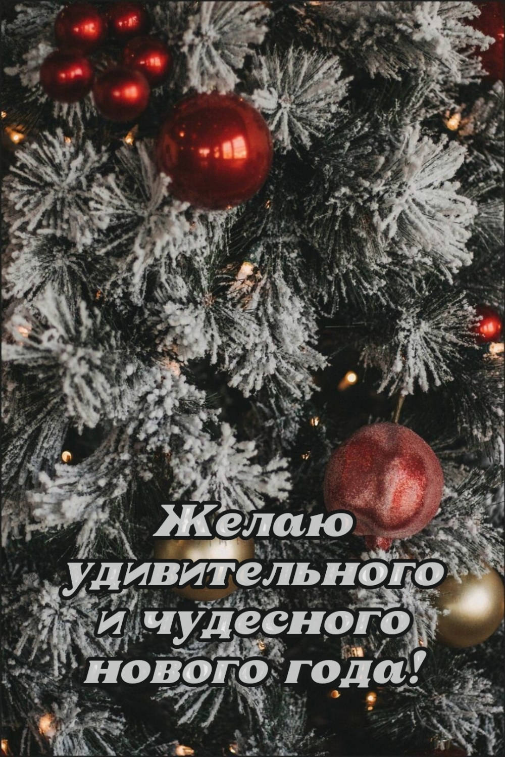 ����� ������������� � ��������� ������ ����!.