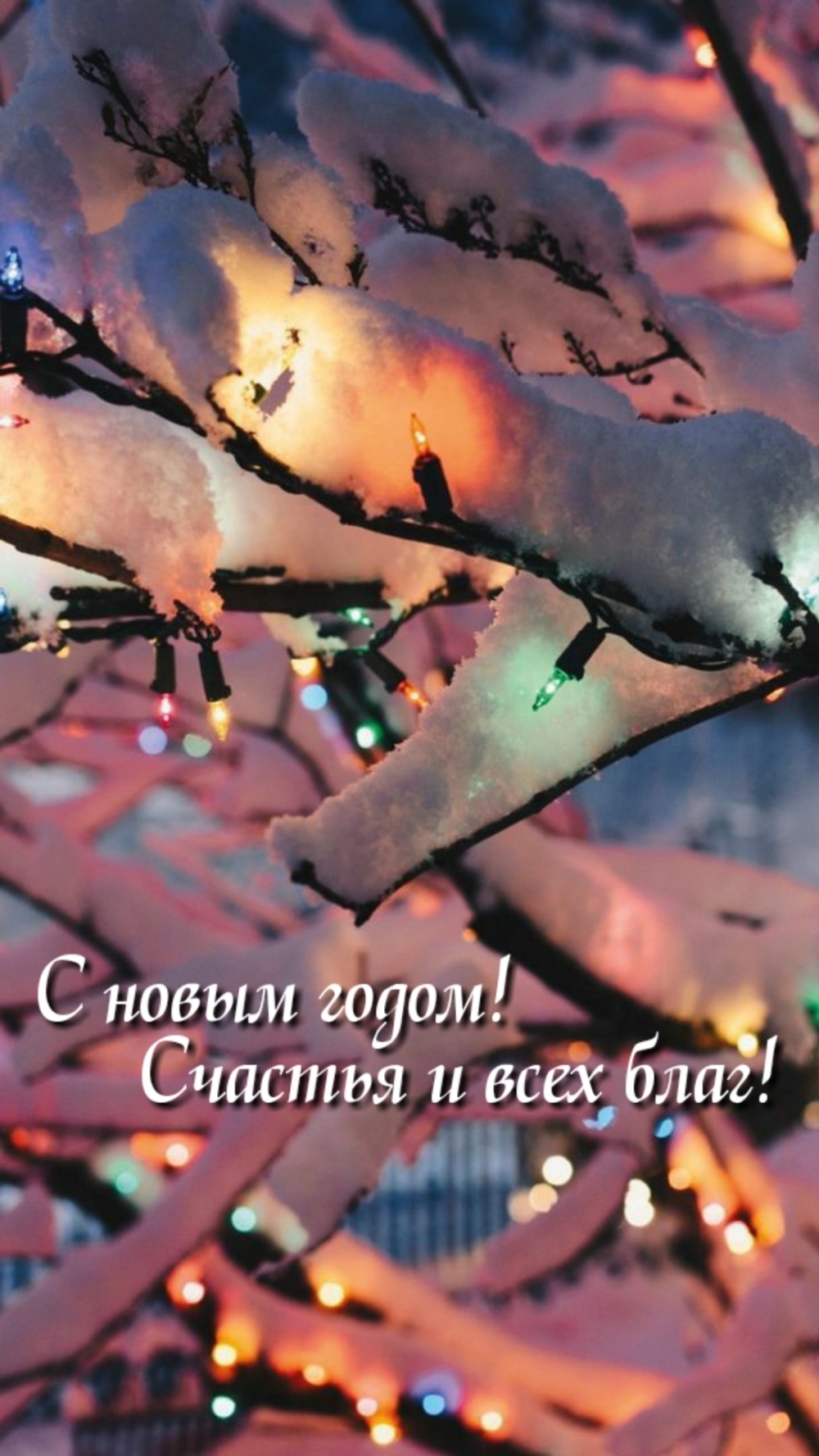 � ����� �����! ������� � ���� ����!.