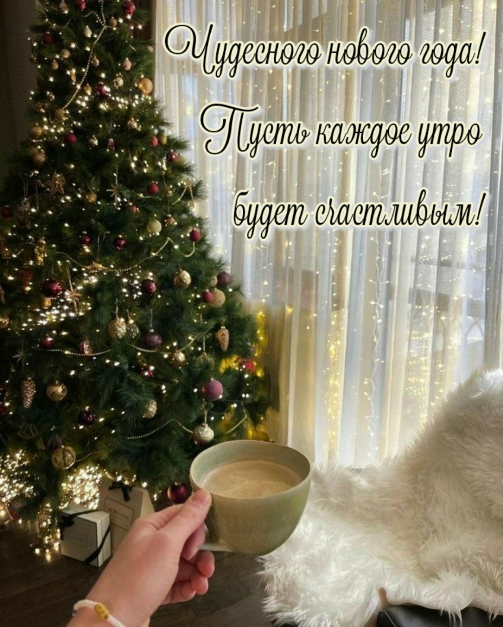 ��������� ������ ����! ����� ������ ���� ����� ����������!.