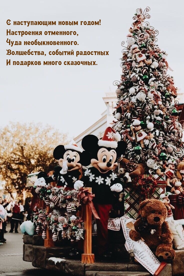 � ����������� ����� �����! ���������� ���������.