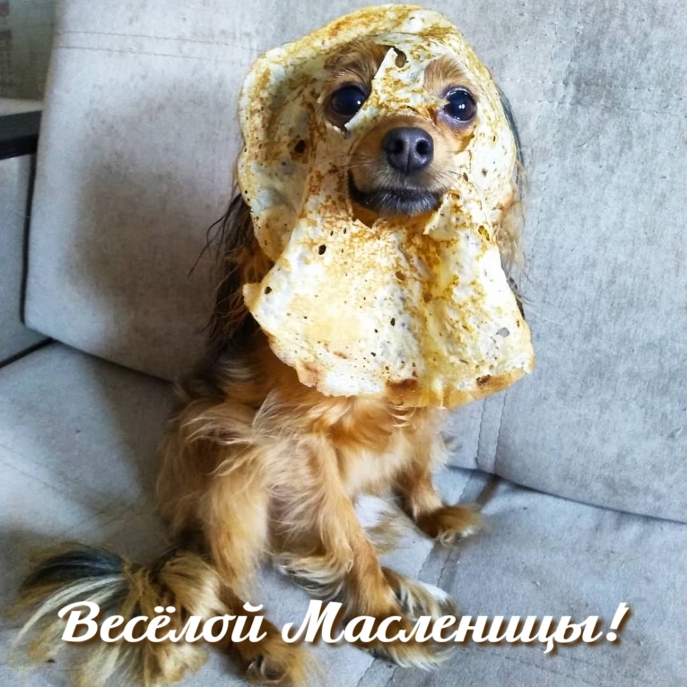 ������ ���������!.