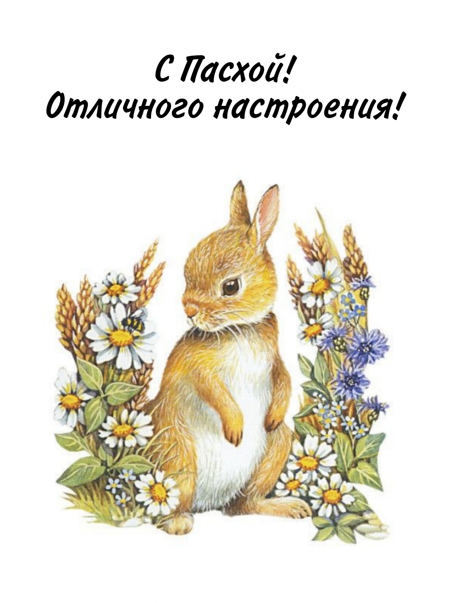 � ������! ��������� ����������!.