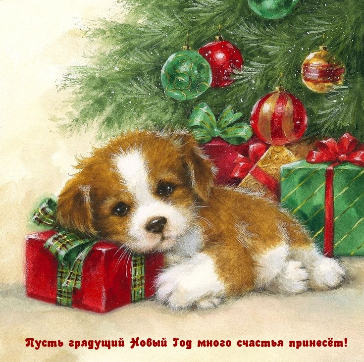 ����� �������� ����� ��� ����� ������� �������!.