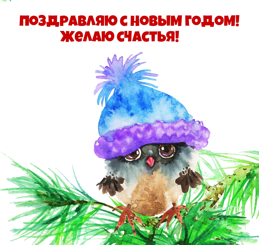 ���������� � ����� �����! ����� �������!.