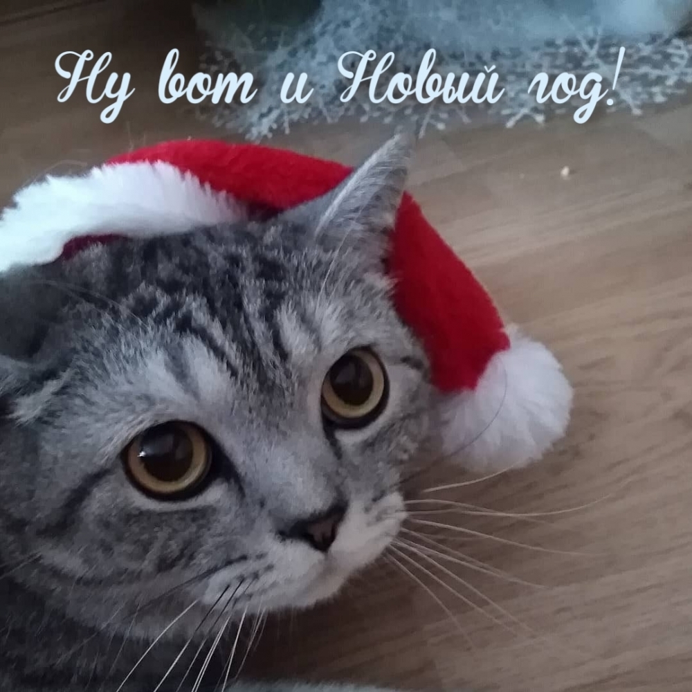 �� ��� � ����� ���!.