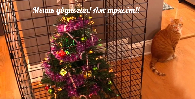 ���� ��������! �� �����!.