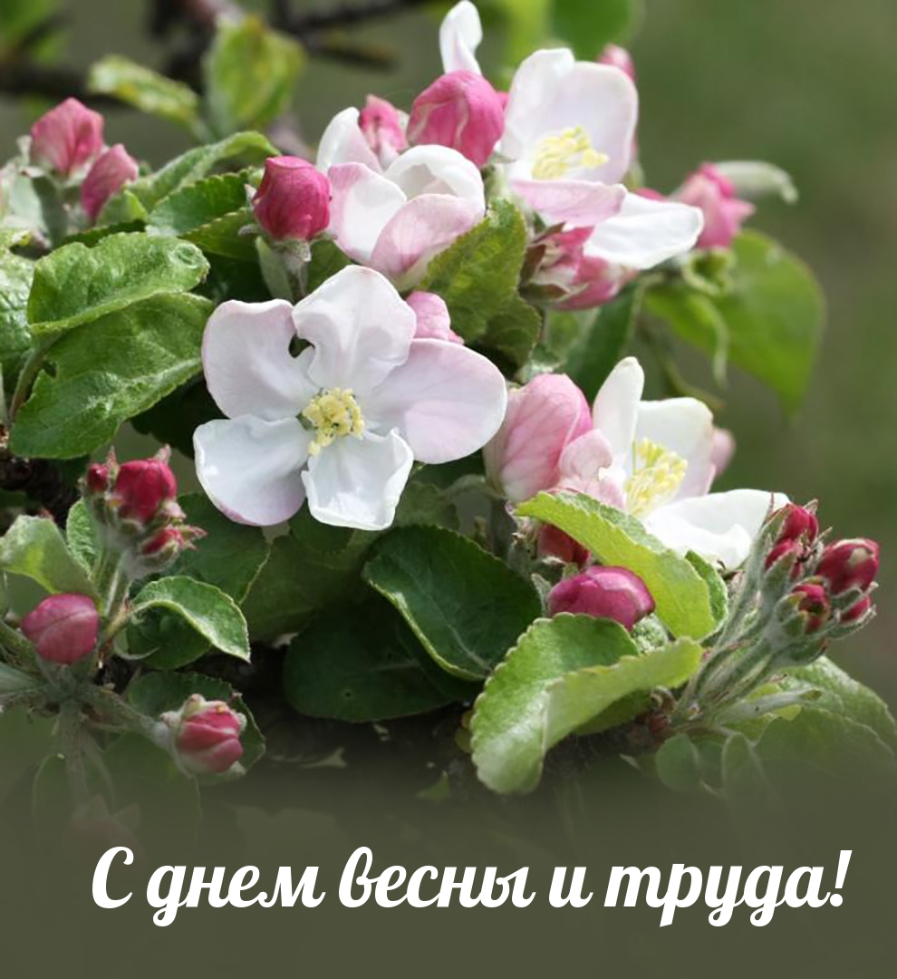 � ���� ����� � �����!.