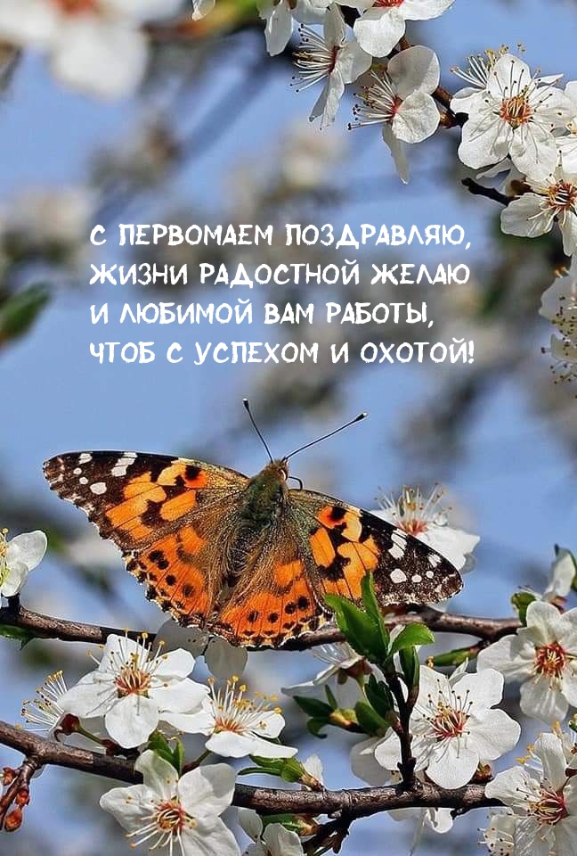 � ��������� ����������, ����� ��������� �����.