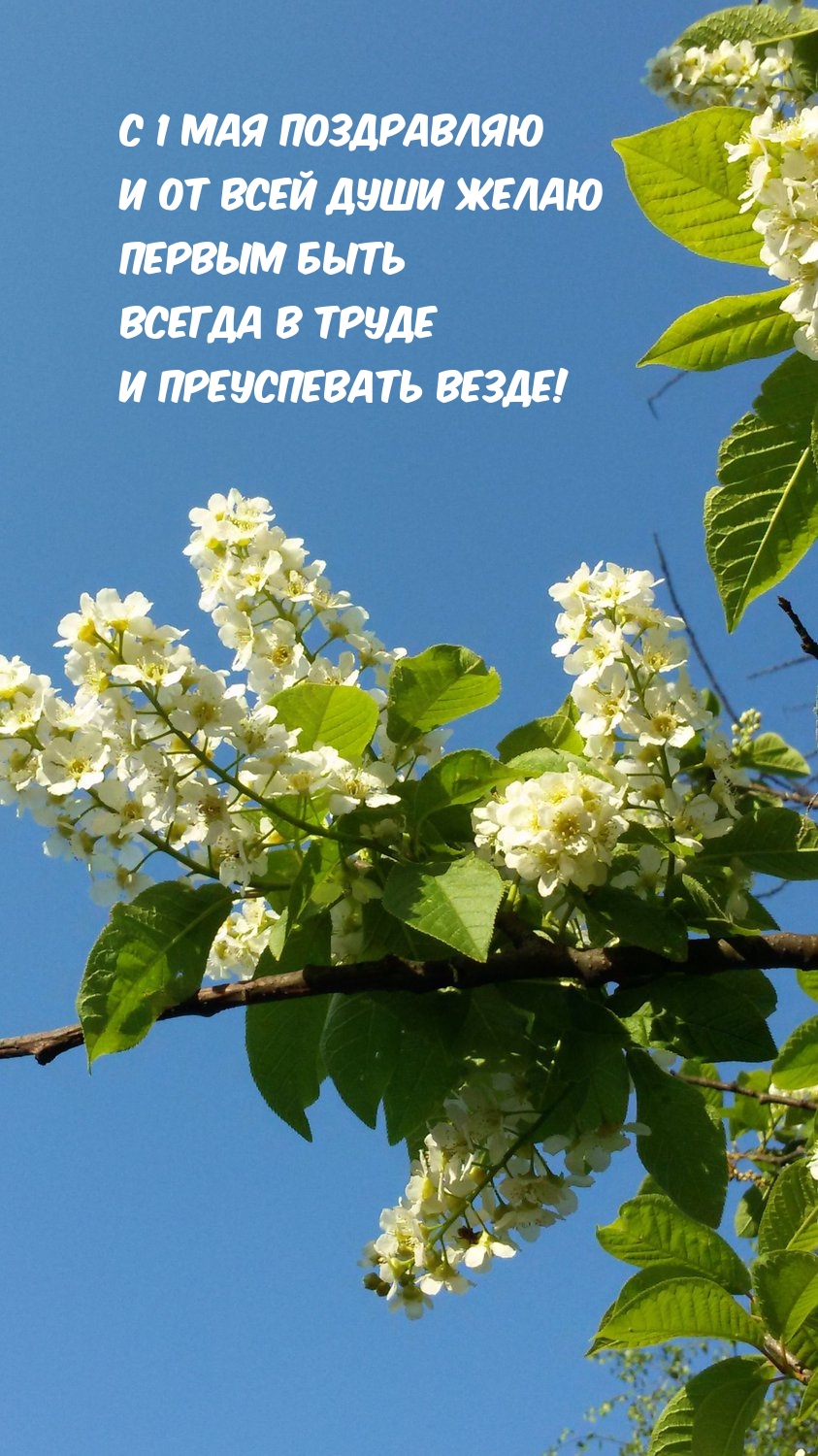 � 1 ��� ���������� � �� ���� ���� ����� ������ ���� .