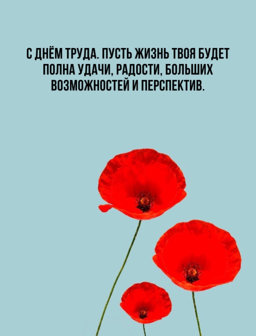 � ���� �����. ����� ����� ���� ����� ����� �����.
