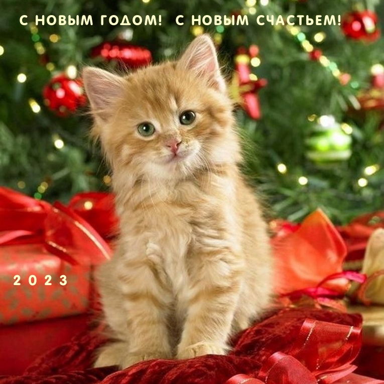 � ����� �����! � ����� ��������! 2023.