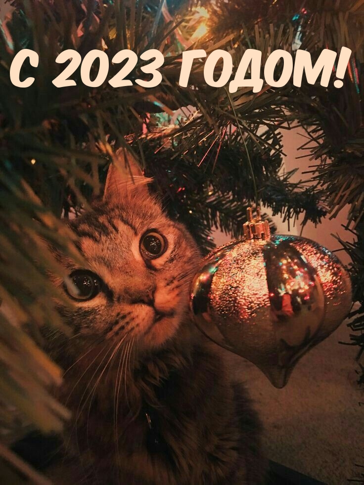  2023 !.