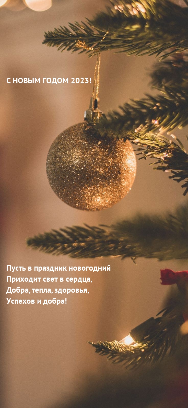 � ����� ����� 2023! �����, �����, ��������.