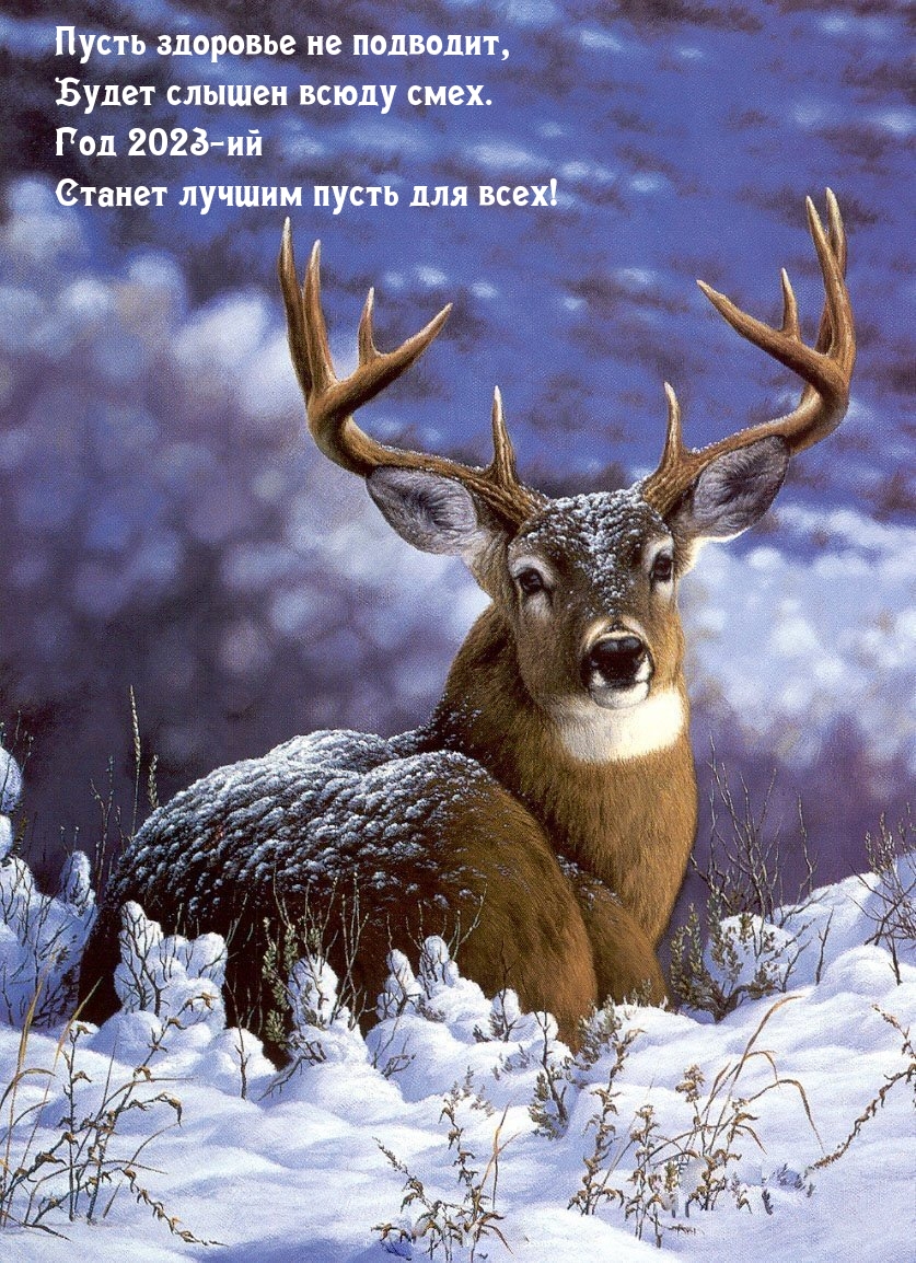 ��� 2023-�� ������ ������ ����� ��� ����!.