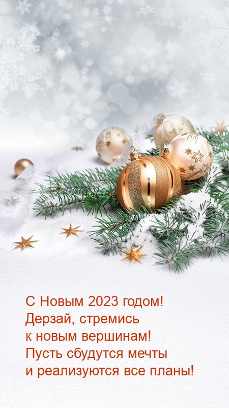 � ����� 2023 �����! ������, �������� � ����� ��������! .