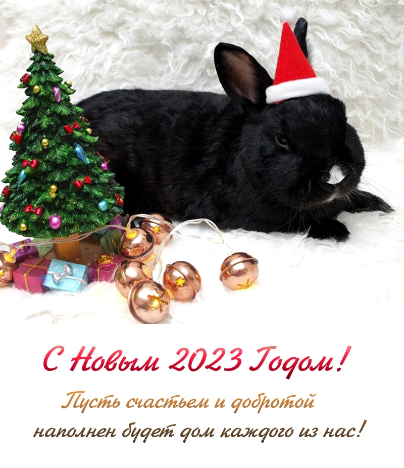 � ����� 2023 �����! ����� �������� � �������� �������� ����� ���  .