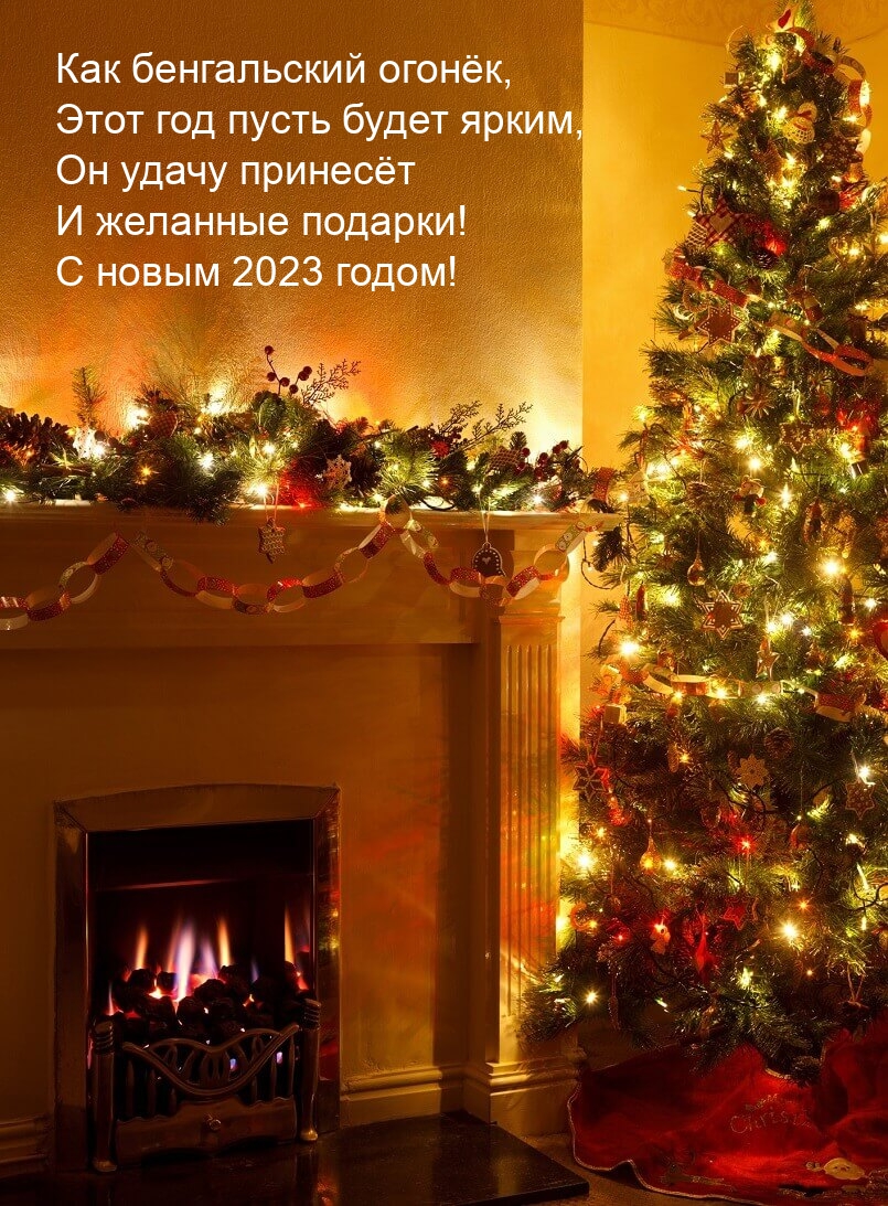 � ����� 2023 �����! ���� ��� ����� ����� �����.