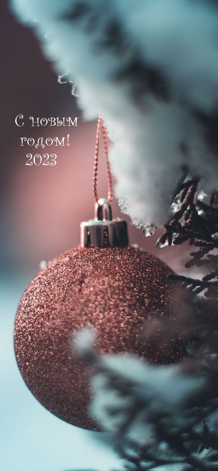 � ����� �����! 2023.