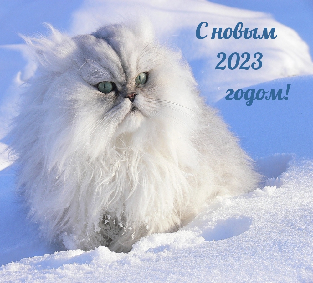   2023 !.