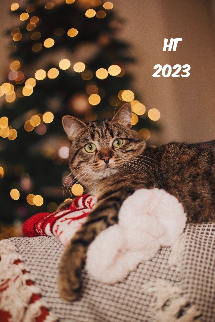 �� 2023.