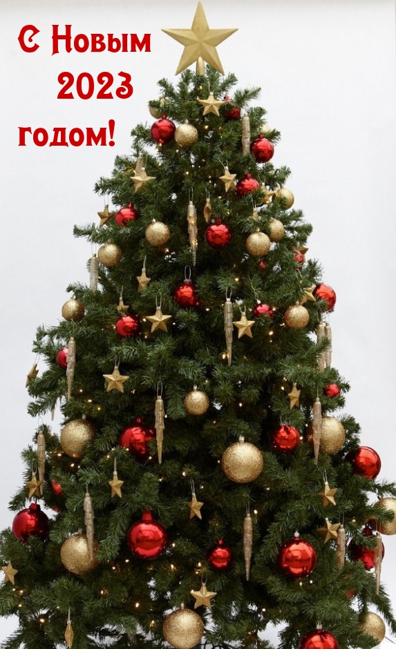 � ����� 2023 �����!.